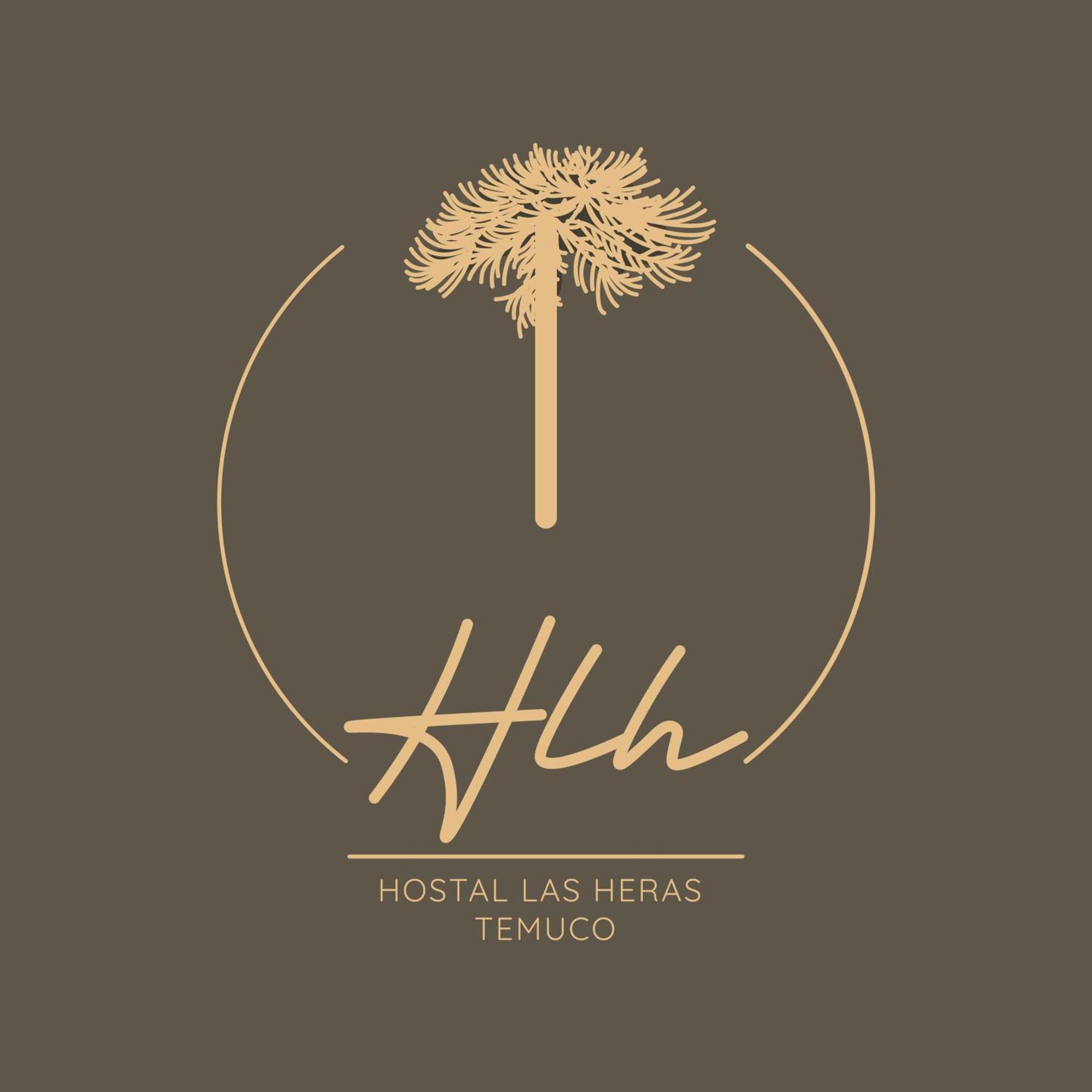 Hostal Las Heras 特木科 外观 照片